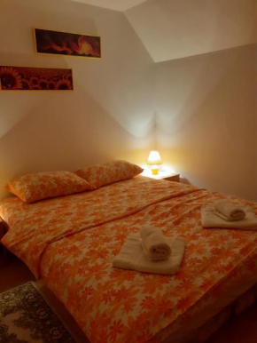 Apartmani Bubamara